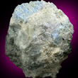 Pale Carletonite and Pectolite