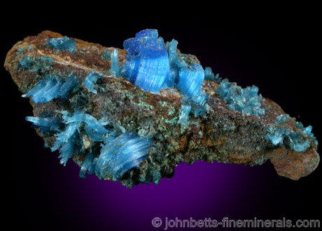 Chalcanthite Crystals on Matrix from Graphic Mine, Magdalena District, Socorro County, New Mexico