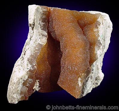 Brown Chalcedony Pseudomorph from Ballast Point, Tampa Bay, Florida