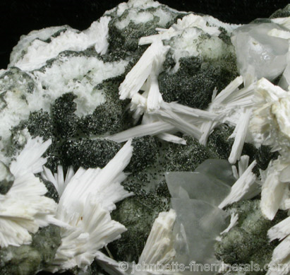 Chamosite with Natrolite from Millington Quarry, Bernards Township, Somerset County, New Jersey