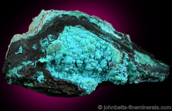 Rounded Botryoidal Chrysocolla from 79 Mine, Banner District, near Hayden, Gila County, Arizona