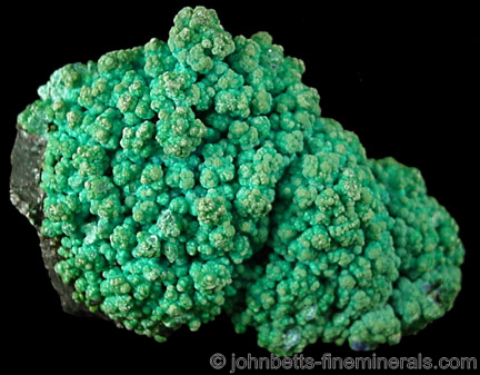 Bright Green Globular Chrysocolla from Morenci Mine, Clifton District, Greenlee County, Arizona
