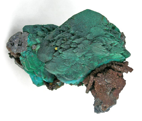 Chryocolla Pseudo After Malachite from Whim Creek Copper Mine, Pibara, Western Australia, Australia