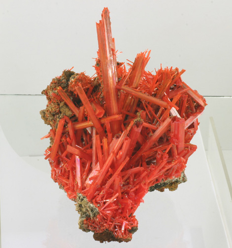 Outstanding Crocoite Cluster from Adelaide Mine, Zeehan District, Tasmania, Australia