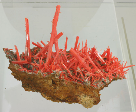 Elongated Crocoite on Matrix from Adelaide Mine, Zeehan District, Dundas, Tasmania, Australia