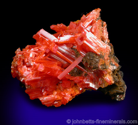 Interconnected Crocoite Needles from Red Lead Mine, Dundas, Tasmania, Australia.