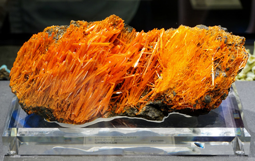 Delicate Crocoite Needles from Red Lead Mine, Dundas, Zeehan District