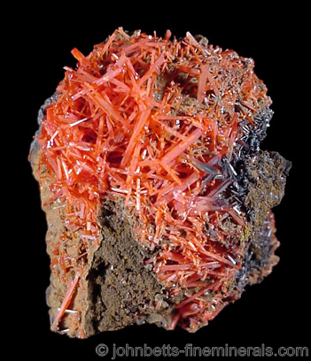 Reticulated Crocoite from Red Lead Mine, Dundas, Tasmania, Australia