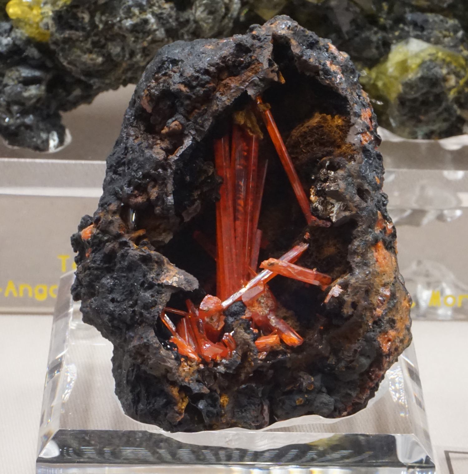 Acicular Crocoite in Vug from Red Lead Mine, Tasmania, Australia