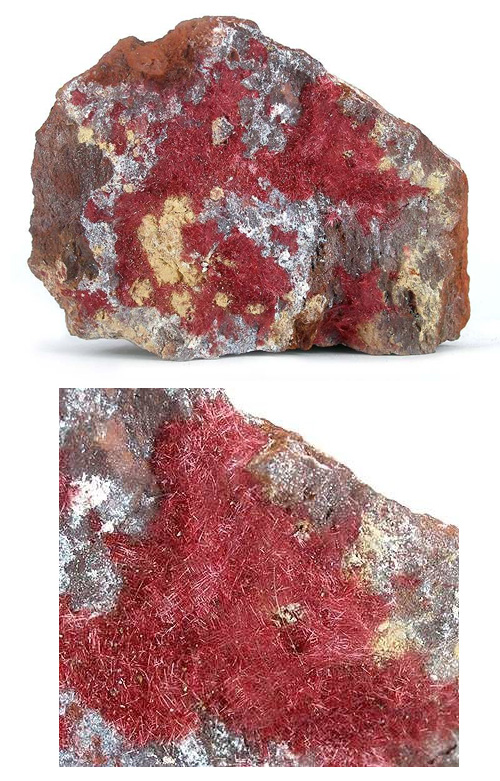 Cuprite var. Chalcotrichite from Cole Mine, Bisbee, Warren District, Mule Mts, Cochise Co., Arizona