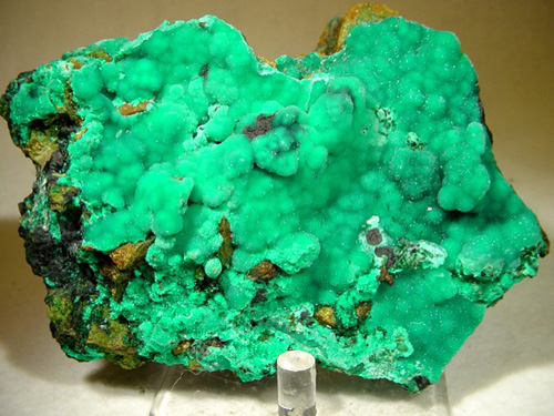 Rare Botryoidal Dioptase from La Farola Mine, Cerro Pintado, Las Pintadas district, Tierra Amarilla, Copiapó Province, Atacama Region, Chile