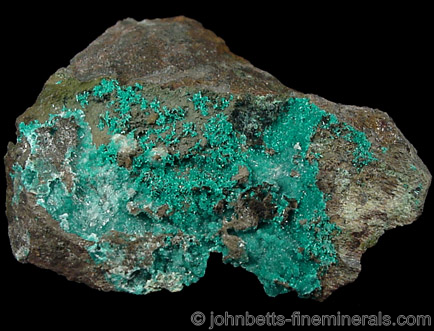 Dioptase Microcrystal Crust from Ray Mine, Mineral Creek District, Pinal County, Arizona