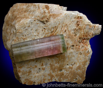 Bi-colored Elbaite on Matrix from Himalaya Mine, Mesa Grande District, San Diego County, California