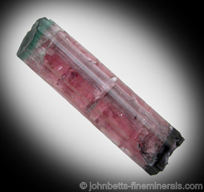Multicolored Maine Elbaite Crystal from Mount Mica, Paris, Oxford County, Maine