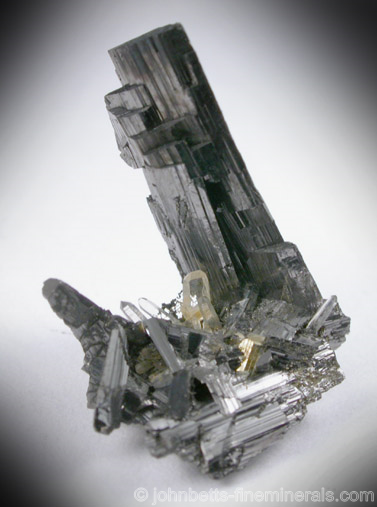 Elongated Prismatic Enargite Crystals from Butte Mining District, Summit Valley, Silver Bow County, Montana