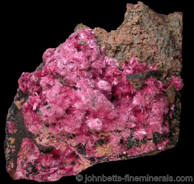 Radiating Erythrite Tufts from Mount Cobalt Mine, Mount Isa-Cloncurry District, Queensland, Australia