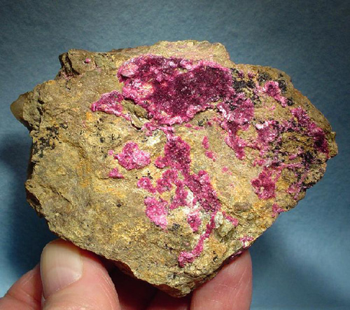 Vivid Pink Erythrite Crust from Sara Alicia Mine, San Bernardo, Mun. de Alamos, Sonora, Mexico