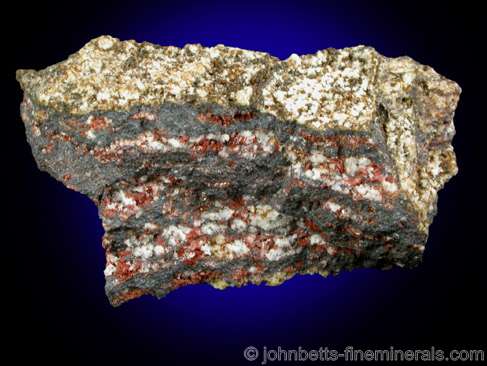 Fluoro-magnesiohastingsite from Tachyaandesite Quarry, Dealul Uroi, Hunedoara County, Romania