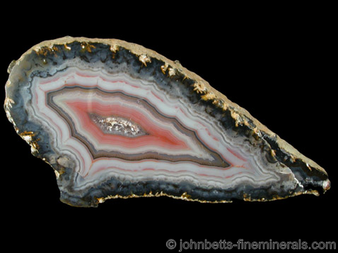 Fortification Agate Slice from Minas Gerais, Brazil