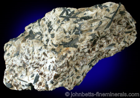 Glaucophane in Mica Schist from Cloverdale, Sonoma County, California