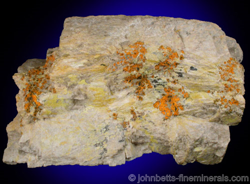 Embedded Dendritic Gummite from Grafton Center, Grafton County, New Hampshire