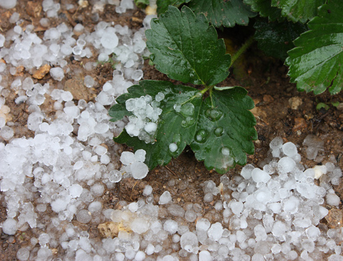 Balls of Hail from Unknown