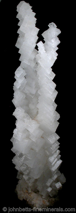 Halite Cubes Crystal Cluster from Rocanville, Saskatchewan, Canada