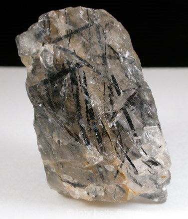 Hornblende Included in Quartz from Cumberland, north of Pawtucket, Providence County, Rhode Island