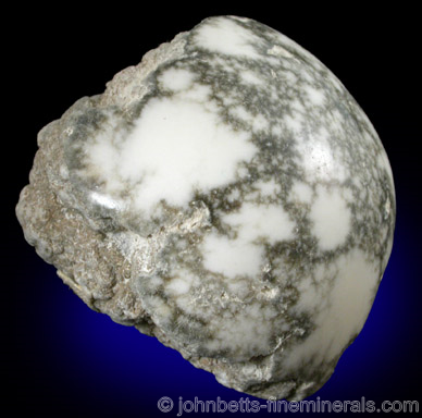 Polished Howlite Nodule from Sterling Borax Mine, Tick Canyon, Los Angeles County, California