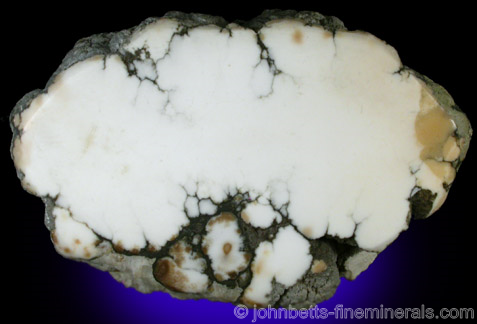 Sliced Howlite Nodule from Sterling Borax Mine, Tick Canyon, Los Angeles County, California