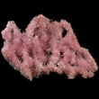 Spiky Pink Inesite