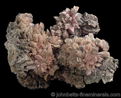 Gray to Pink Inesite from Hale Creek Mine, Trinity County, California
