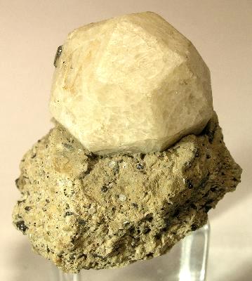 Perfect Leucite Crystal in Matrix from Roccamonfina, Roccamonfina Volcanic Complex, Caserta Province, Campania, Italy
