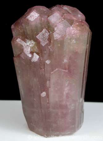 Pink Liddicoatite from Vietnam from Luc Yen, Yen Bai Province, Vietnam