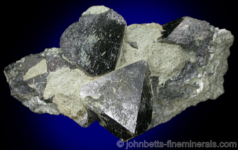 Magnetite Octahedrons on Matrix from Laurel Hill (Snake Hill) Quarry, Secaucus, Hudson County, New Jersey