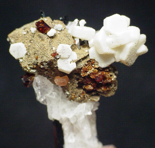 Manganoneptunite with Rare Minerals from Poudrette quarry, Mont Saint-Hilaire, Rouville RCM, Montérégie, Québec, Canada