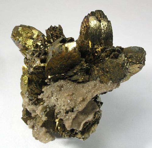 Brassy-Gold Tabular Marcasite from Flambrough Quarry, Dundas, Hamilton, Wentworth County, Ontario, Canada