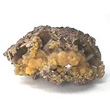 Botryoidal Mimetite with Wulfenite