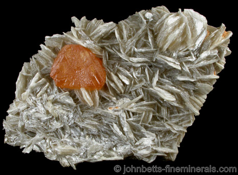Muscovite Plate with Scheelite Crystal from Ping-Wu, Sichuan Province, China