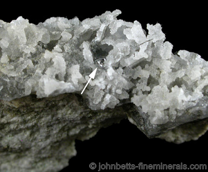 Small Native Tellurium Crystal on Quartz from Emperor Mine, Vatukuola, Viti Levu, Fiji Islands
