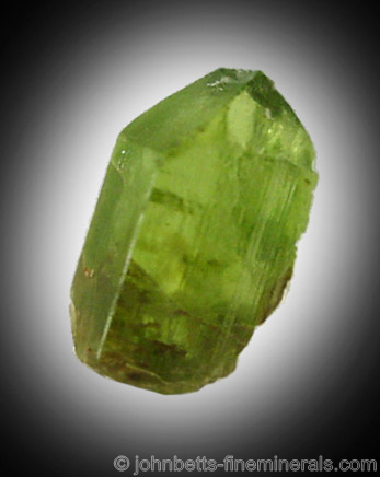 Peridot from Egypt from St. John's Island, Red Sea, Egypt