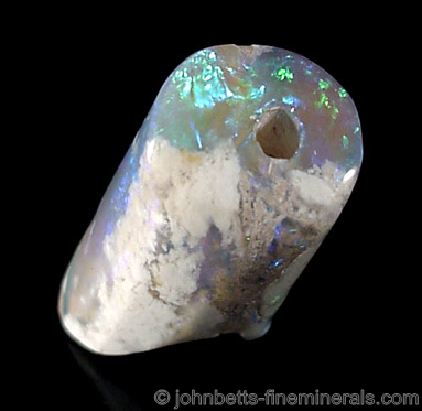 Opalized Fossil Bone from White Cliffs, New South Wales, Australia