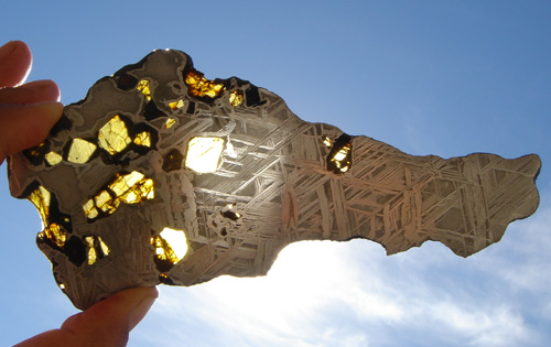 Pallasite Meteorite from New Mexico
