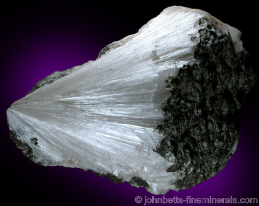 Pectolite Crystal Spray from Bergen Hill, Hudson County, New Jersey