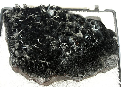 Hairy Acicular Pyrolusite from Socorro Co., New Mexico
