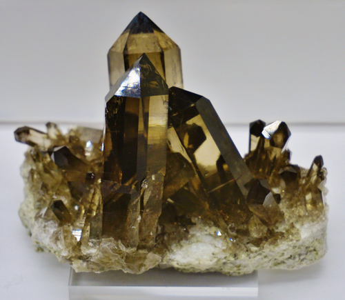 Smoky Quartz Crystals from Rufiback Pocket, Vorge Ziggenstock, Grimsel, Borne, Switzerland