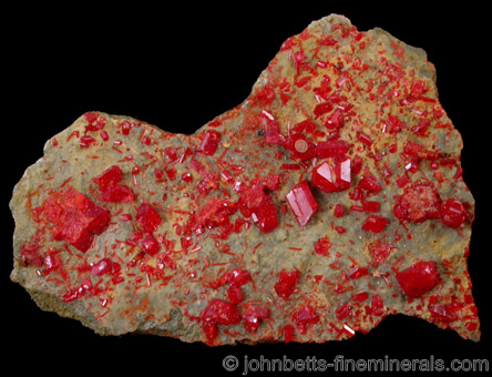 Bright Red Realgar Crystal Plate from Reward Mine, King County, Washington