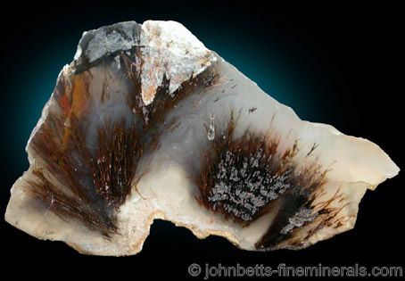 Sagenite Agate from Wiley Wells area, southwest of Blythe, California
