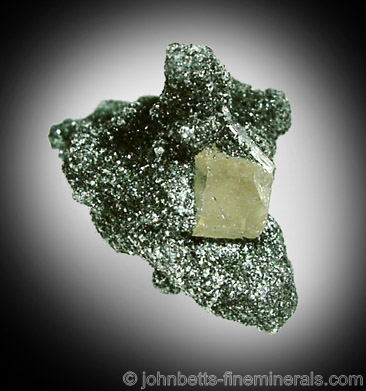 Shiny Chlorite Matrix with Apatite from Warren Bros. Quarry, Acushnet, Massachusetts