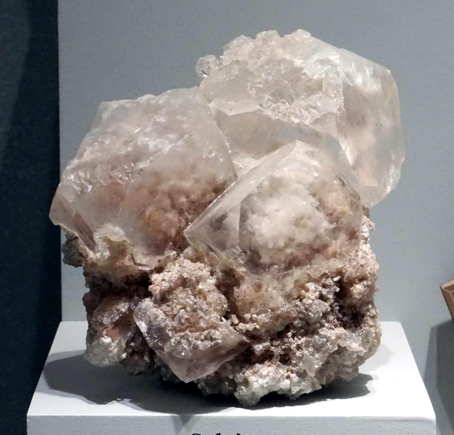 Cuboctahedral Sylvite Crystals from Stassfurt, Saxony, Germany